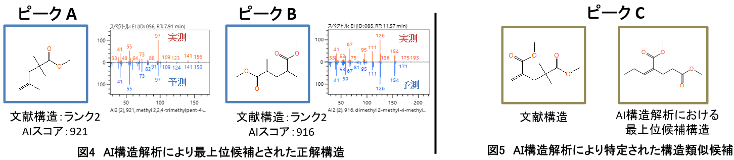 AI構造解析