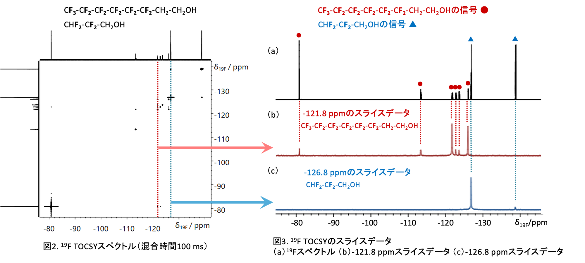 図2. 19F TOCSYスペクトル (混合時間100 ms) と図3. 19F TOCSYのスライスデータ (a) 19Fスペクトル (b) -121.8 ppmスライスデータ (c) -126.8 ppmスライスデータ