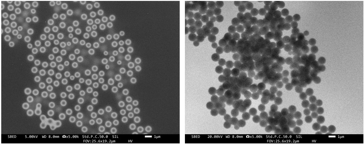 polystyrene_particles_in_water.jpg