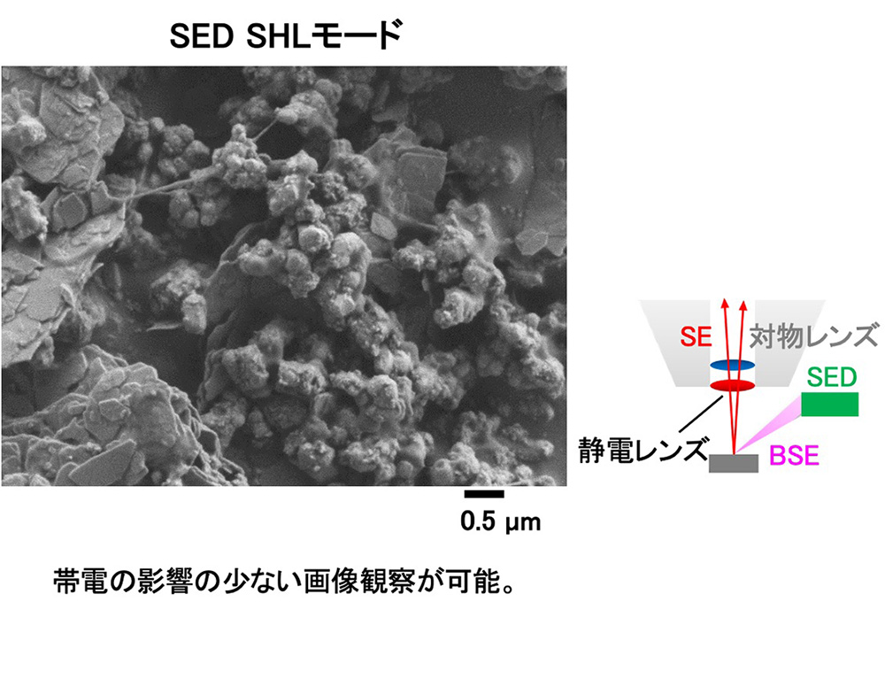 SED SHLモード：帯電の影響の少ない画像観察が可能。