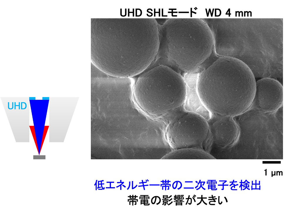 UHD SHLモード WD 4 mm：低エネルギー帯の二次電子を検出帯電の影響が大きい
