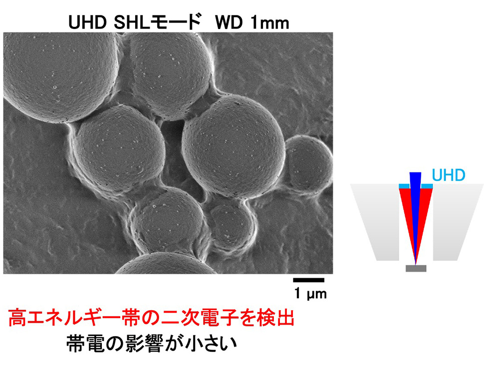 UHD SHLモード　WD 1mm：高エネルギー帯の二次電子を検出帯電の影響が小さい