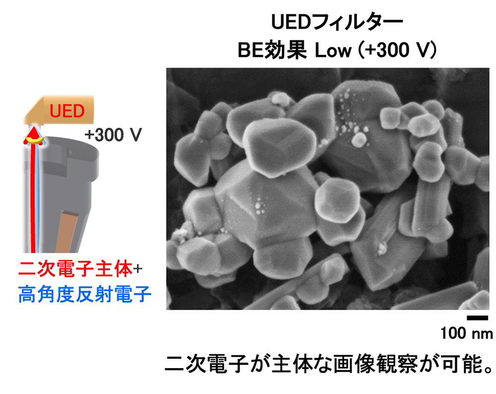 UEDフィルター BE効果 Low (+300 V)：二次電子が主体な画像観察が可能。