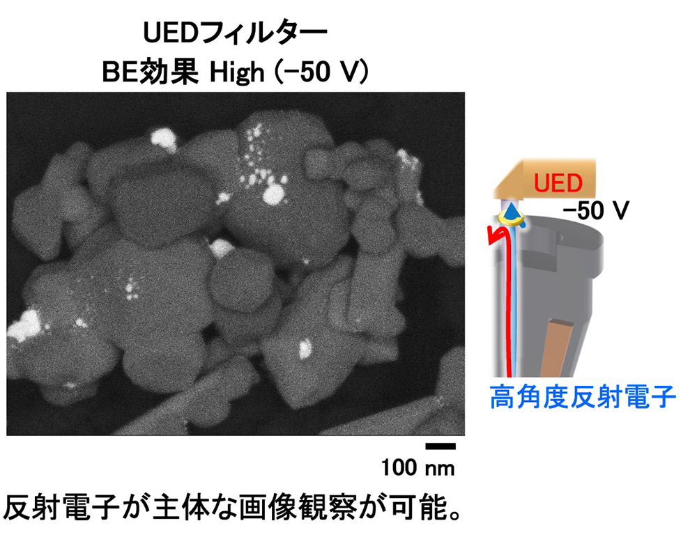 UEDフィルター BE効果 High (-50 V)：反射電子が主体な画像観察が可能。