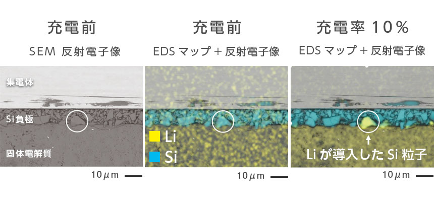 充放電中のSEM観察とEDS分析 プレイバック機能を用いた重畳画像でリチウムの挙動を可視化