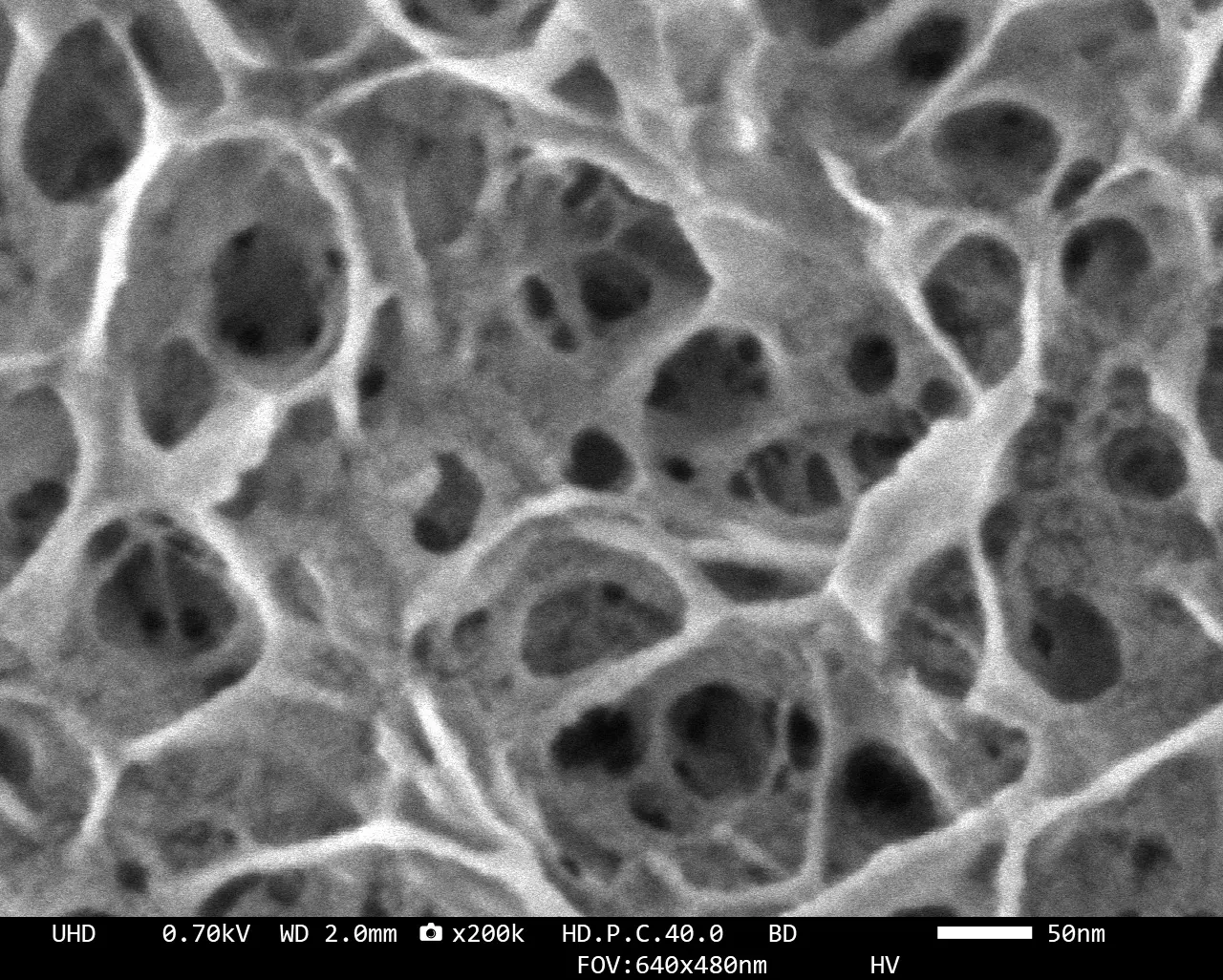 porous_boehmite01_20260918.webp