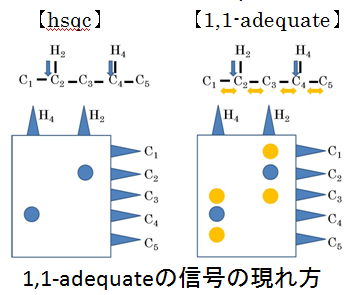 1,1-adequateの信号の現れ方