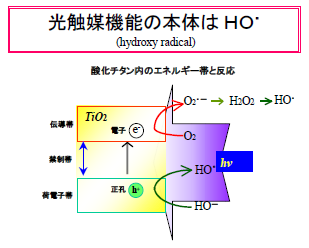 光触媒機能の本体は HO・ (hydroxy radical)