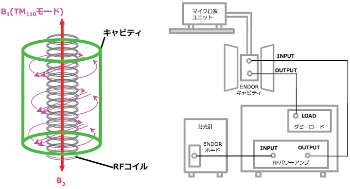 図1. TM110円筒形共振器の磁場分布とケーブル結線図