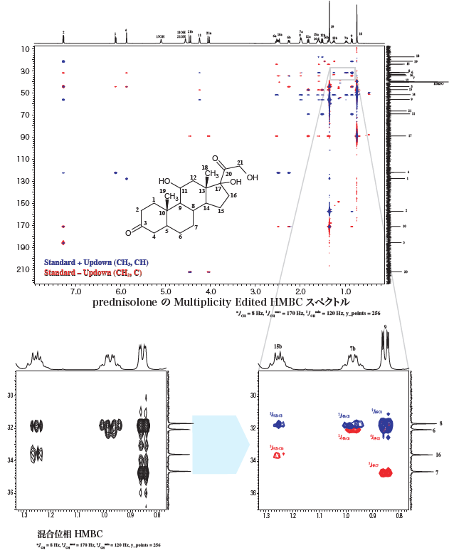 prednisolone の Multiplicity Edited HMBC スペクトル