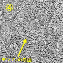 -196°C(液体窒素)