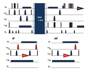 Pulse sequence for parallel 2D (H)CACO/3D (H)CA(CO)NH experiment *1 .