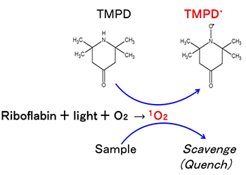 1O2により生成するTMPD・