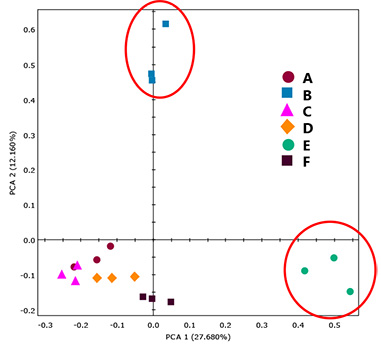 PCA score plot for Polyvinyl acetate samples.