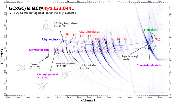 GCxGC/EI EIC chromatogram using m/z 123.0441 (C7H7O2)±0.01