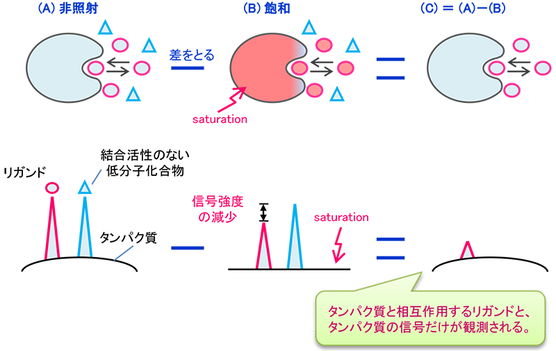 NMRによる医薬品のスクリーニング手法