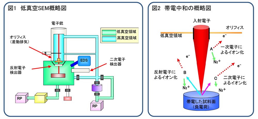 図1低真空SEM概略図/図2帯電中和の概略図