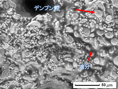 図3　試料：チョコレートクッキー断面