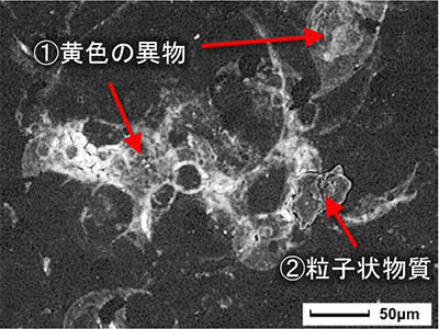 図2　反射電子像