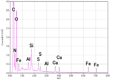 図3　黒い粒状異物のEDS元素分析結果