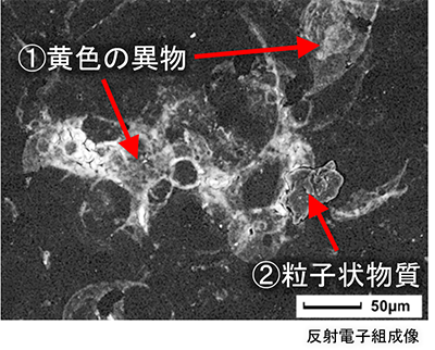 図5　反射電子像とEDS元素マップ