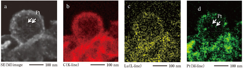 High spatial resolution EDS map with high solid angle EDS