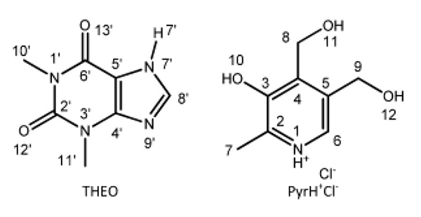 Theophylline(THEO)とPridoxine(Pyr)H+Cl-の化学構造