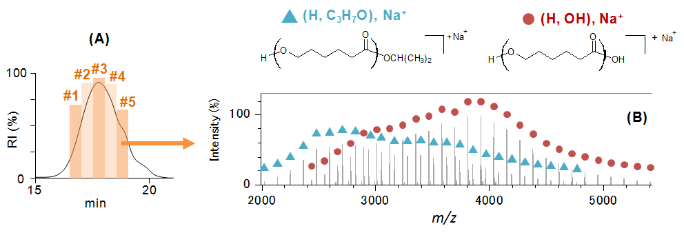 Fig. 1. (A) SEC chromatogram. (B) Mass spectrum of fraction 5.