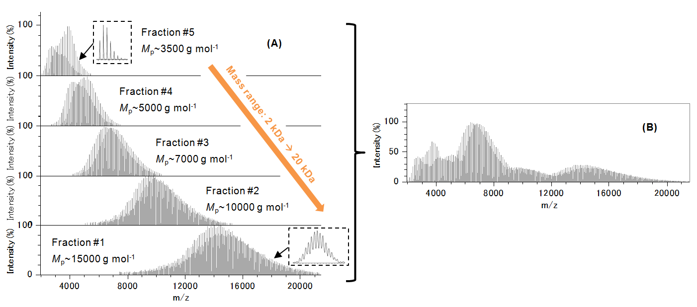 Fig. 2. (A) Mass spectra of the five fractions. (B) Concatenated mass spectra.