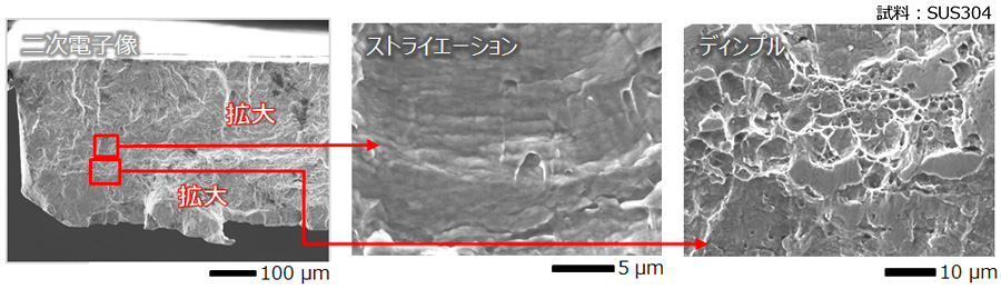 金属破面の形状観察 卓上SEM JCM-7000