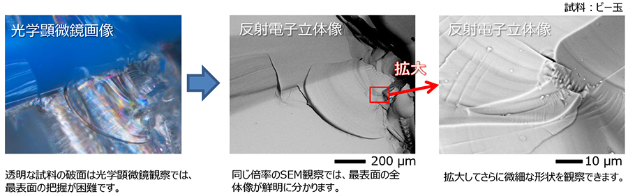 ガラス破面の形状観察 卓上SEM JCM-7000