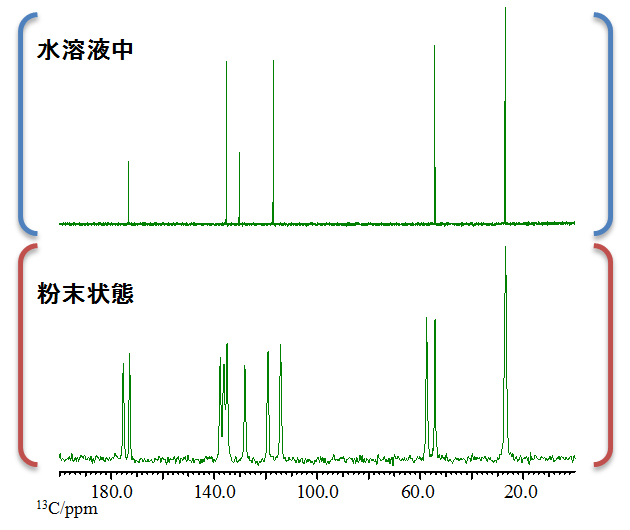図1 上段:各試料10mgをD2Oに溶解させて測定した溶液<sup>13</sup>C NMRスペクトル / 下段:各試料を混合させた固体13</sup>C NMRスペクトル