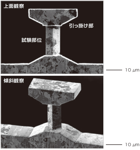 作製した引っ張り試験片