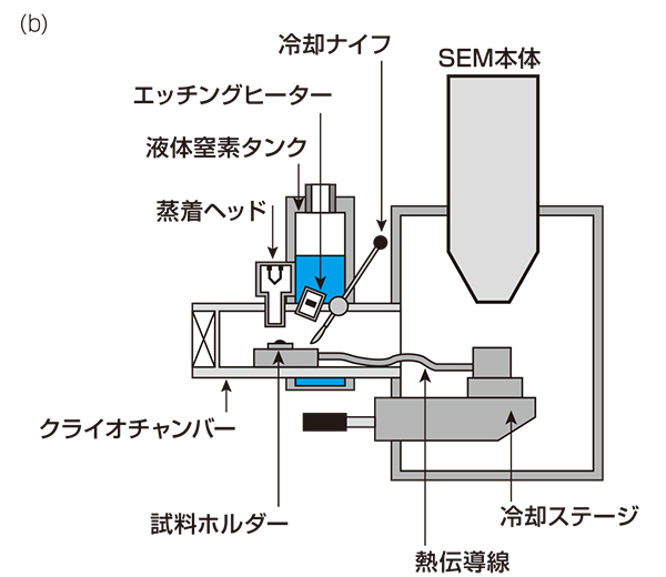 図5(b) クライオSEM装置の構成模式図