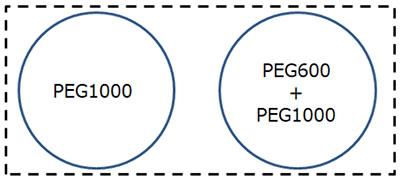 Schematic of the model sample.