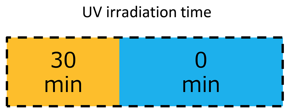 Fig.1 Schematic of the irradiation region of PET film using ultraviolet ray.