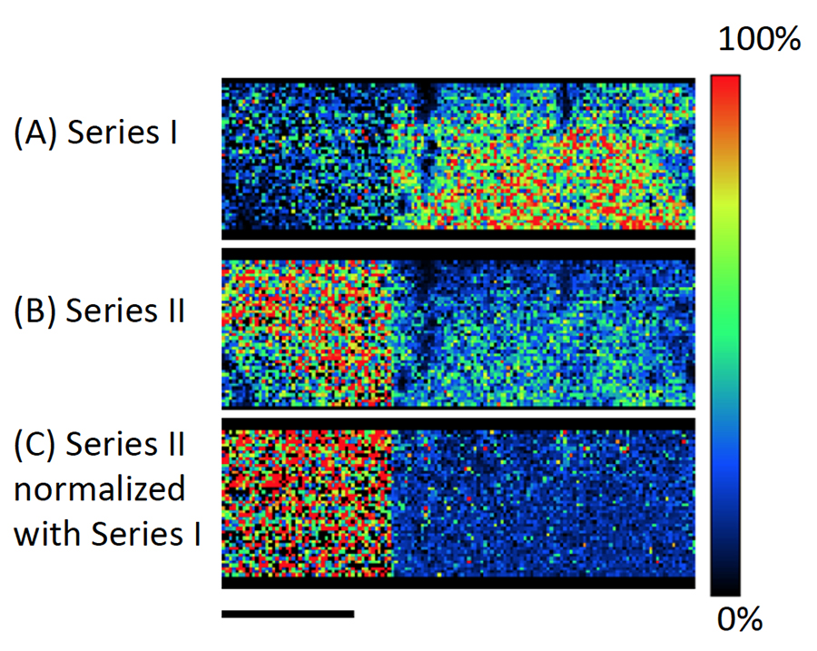 Fig. 4 Images of the cyclic oligomer of PET series (Series I) (A), the ultraviolet degraded PET polymer series (series II) (B) and normalized image of series II by the image of seriseI (C). 