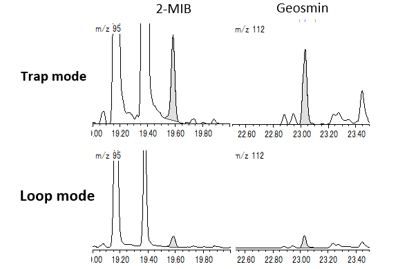 Fig. 2  SIM chromatograms of 2-MIB & Geosmin (1 ppt)