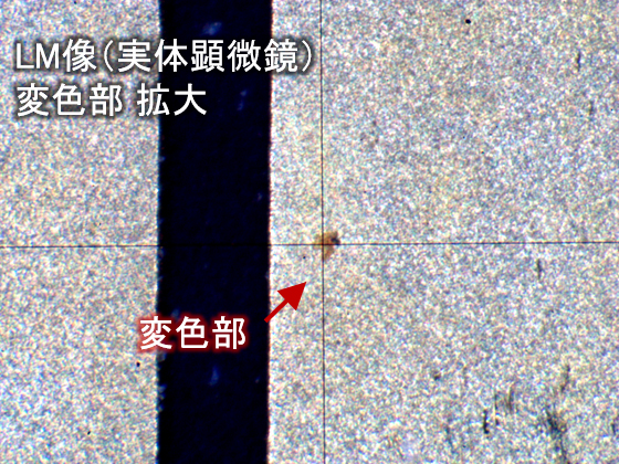 LM像(実態顕微鏡)変色部拡大