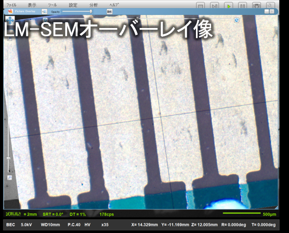 LM-SEMオーバーレイ像