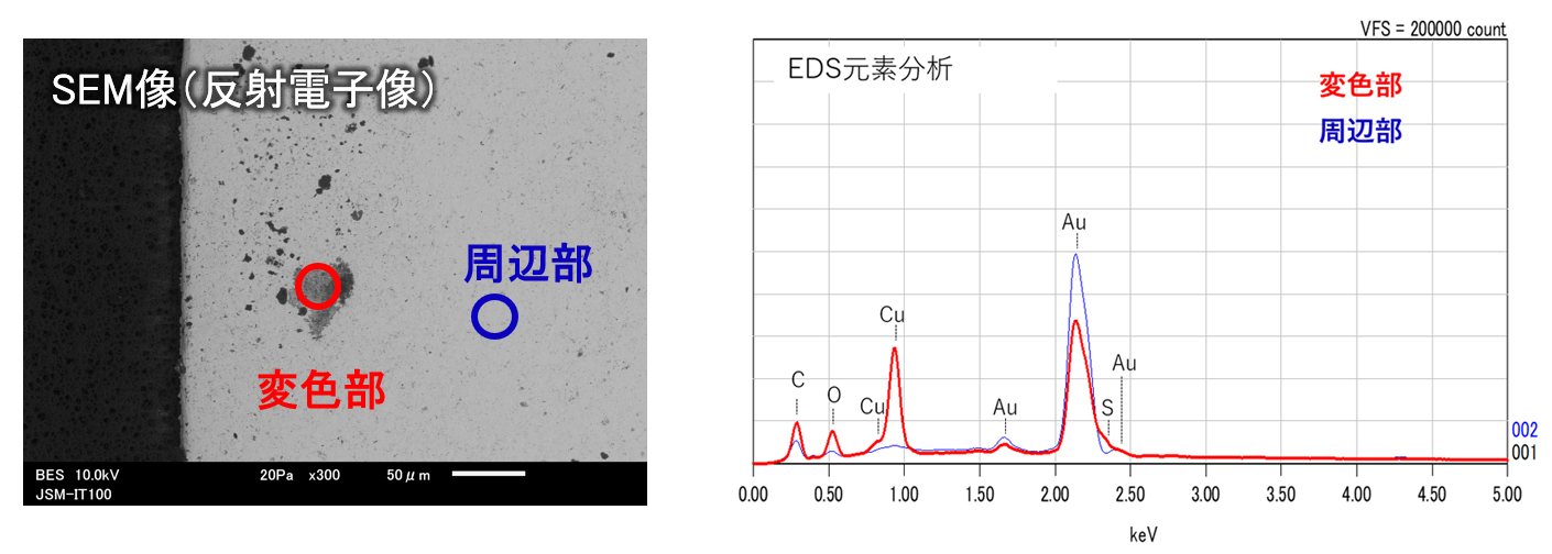 SEM像(反射電子像)