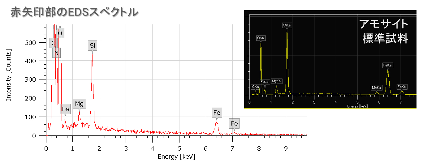 赤矢印部のEDSスペクトル