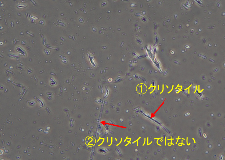 図5 光学顕微鏡 位相差像 総合倍率 400x