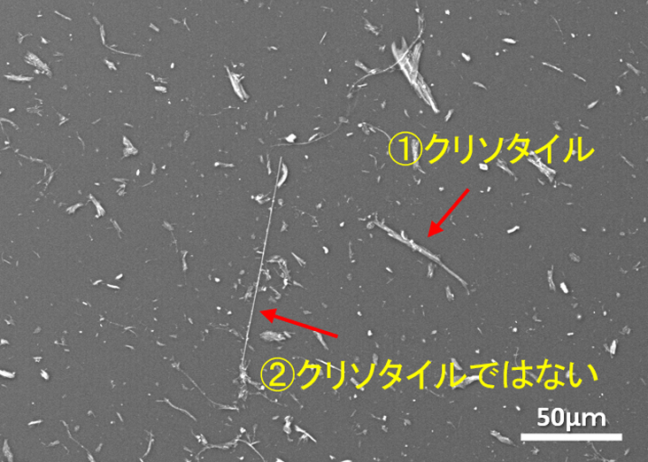 図6 SEM 二次電子像 x400