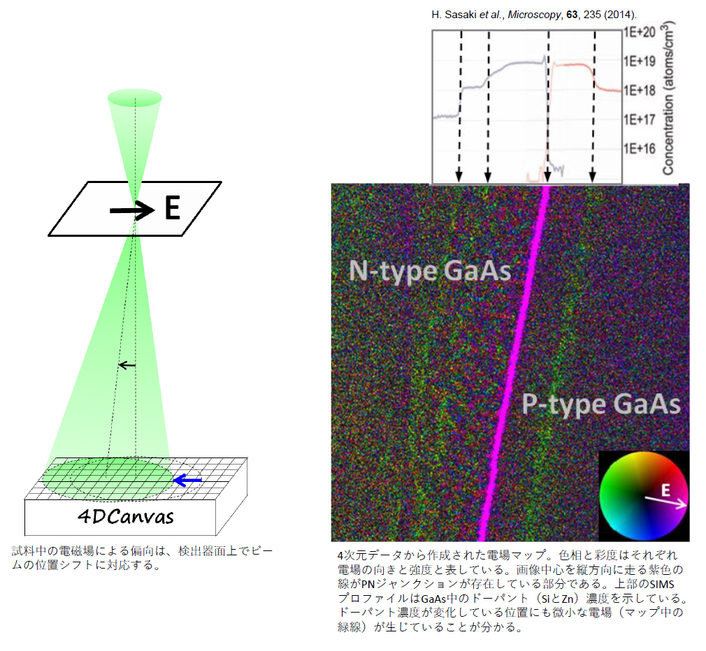 試料中の電場マップ作成