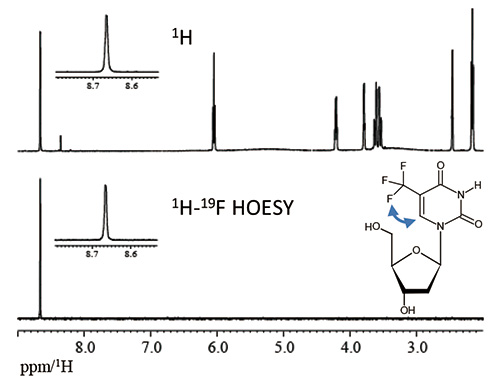 図4:一次元 1H-19F HOESY