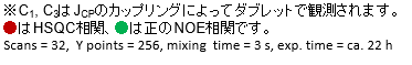 図3 HSQC-NOESYの拡大図の説明