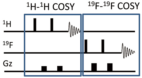 Interleaved COSYのパルスシーケンス