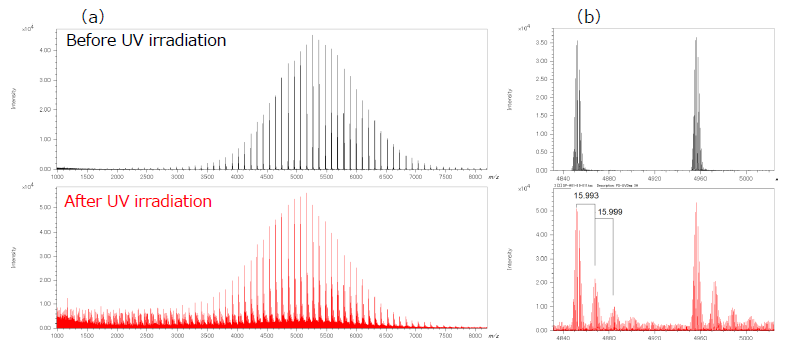 Fig. 4  Mass spectra of PS before and after UV irradiation using MALDI-TOFMS.