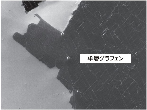 Fig.3 USD